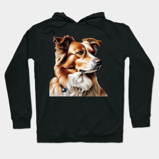 Brown and White Collie Dog with Brown Calm Eyes Hoodie